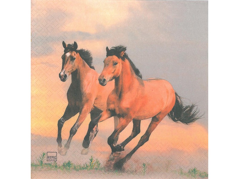 Servietten 33 x 33 cm 'Pferde' 20 Stk./Pkg. Servietten 33 x 33 cm 'Pferde' 20 Stk./Pkg.