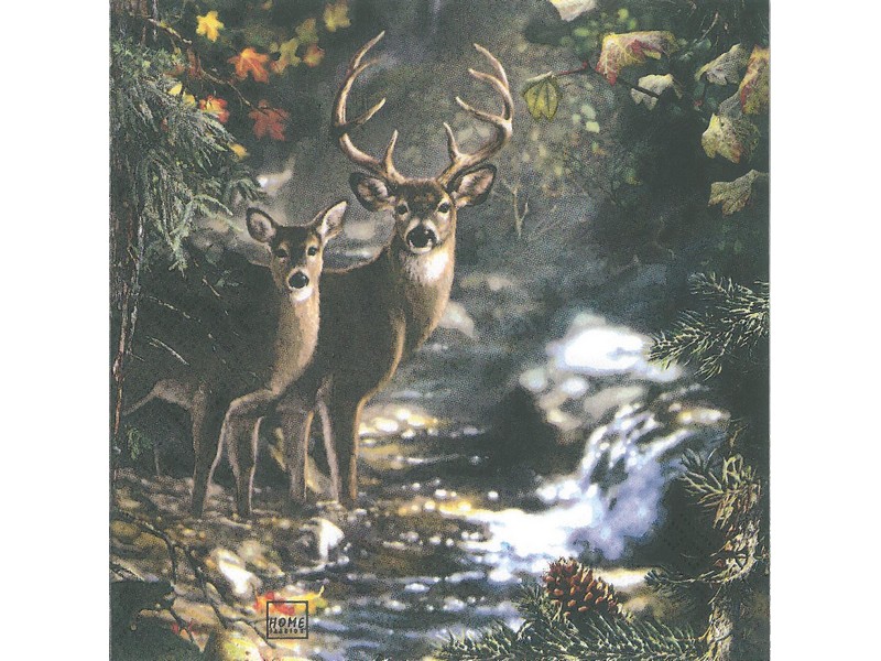 Servietten 33 x 33 cm 'Hirsch' 20 Stk./Pkg. Servietten 33 x 33 cm 'Hirsch' 20 Stk./Pkg.